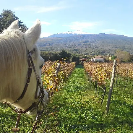 Azienda Agrituristica San Marco Castiglione De Sicilia